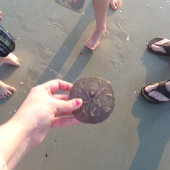 About Posher - Picture 2 of 10